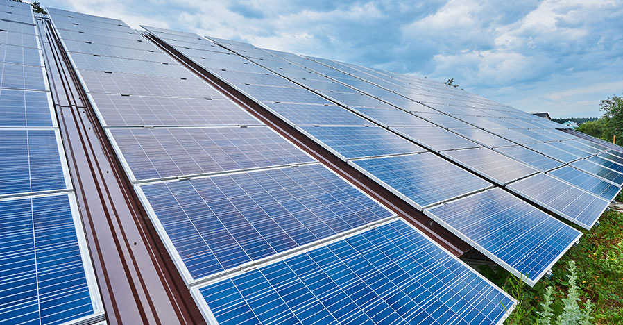 sector_green_ecosystem